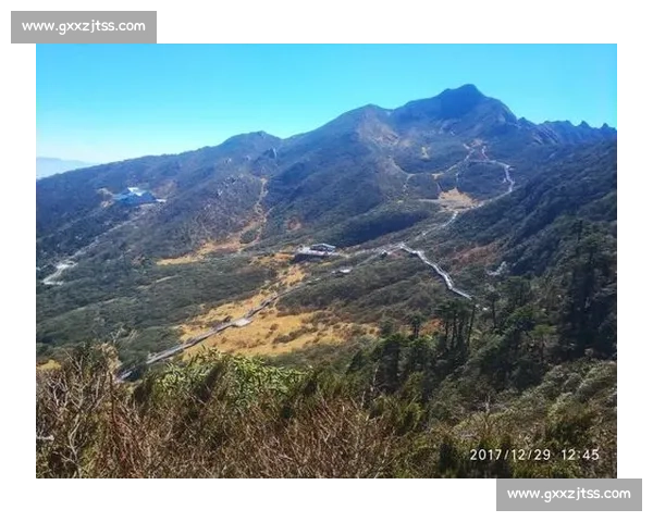 伯比克对阵阿里的世纪拳坛对决与传奇意义历史背景战术博弈全景解析